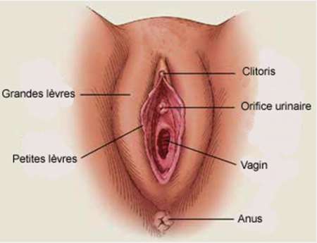 Annonce gratuite lorraine
