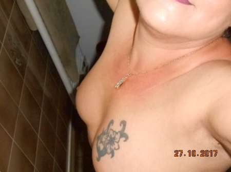 Pingouin prostituée